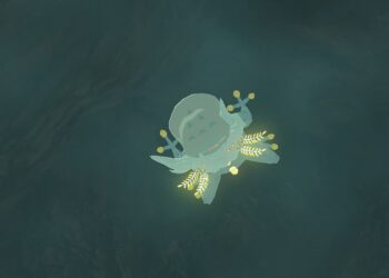 A Tears of the Kingdom Bubbulfrog