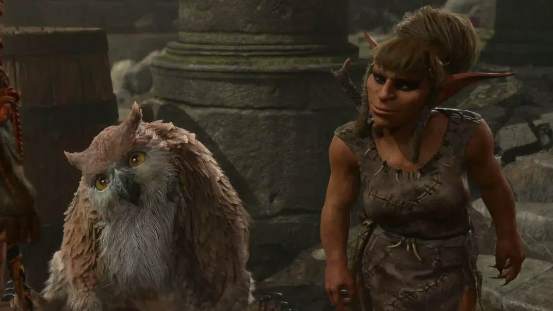 Baldur’s Gate 3: How to win Chicken Chasing